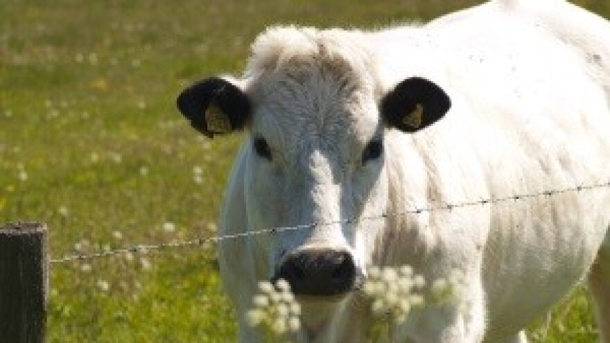 Obavijest proizvođačima mlijeka