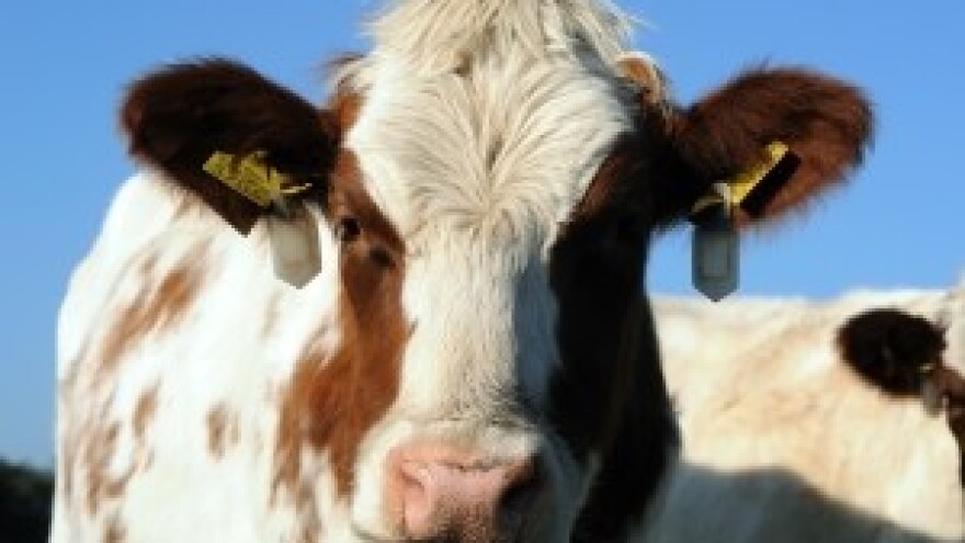 Izvješće o provedbi Akcijskog plana za rješavanje problema mliječnog sektora