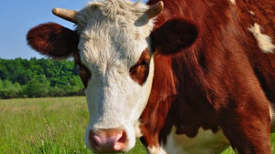 Slavonski poljoprivrednici najavljuju nove prosvjede