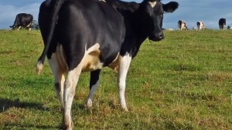 Do petka prijave za natječaj za IPARD Mjeru 101