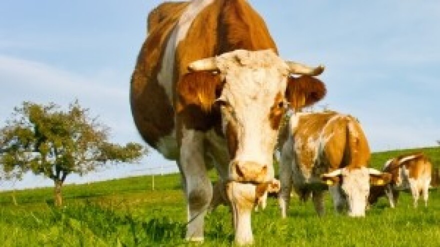 Predaja godišnjih izvješća za otkupljivače mlijeka