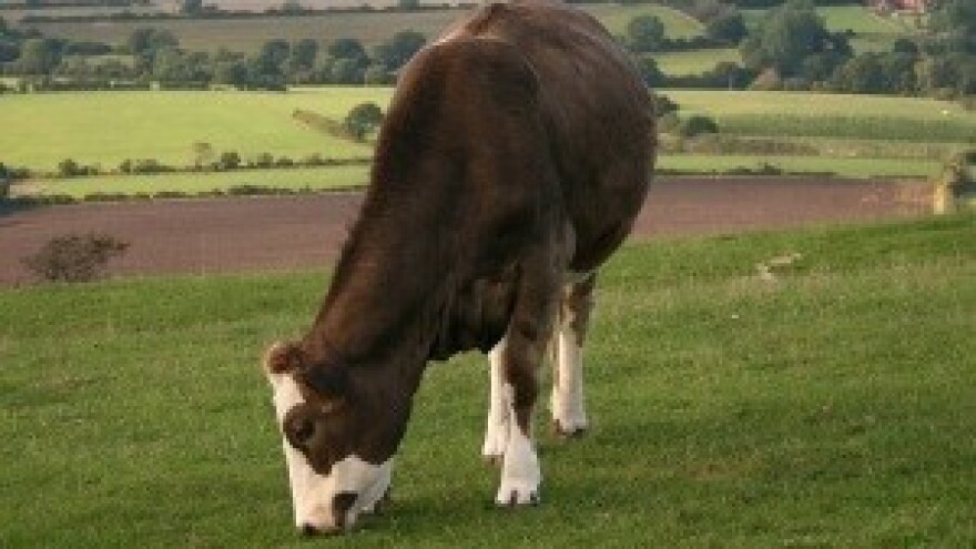 Postignut dogovor o reformi poljoprivredne politike