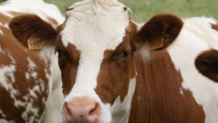 Dukatova tvrtka u Bugarskoj zvat će se Lactalis Bulgaria EOOD