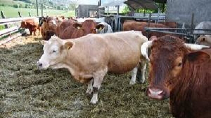 Poljoprivrednici dobili 40% manje potpora