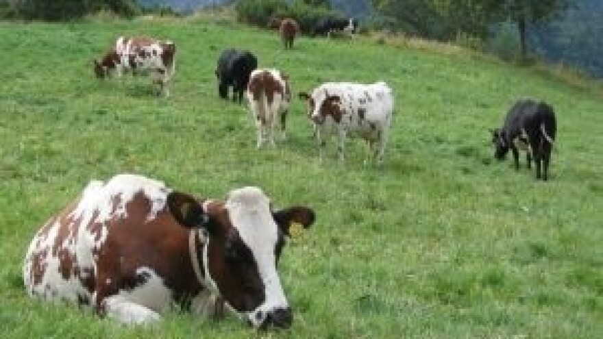 Stavljanje živih životinja na zajedničko EU tržište