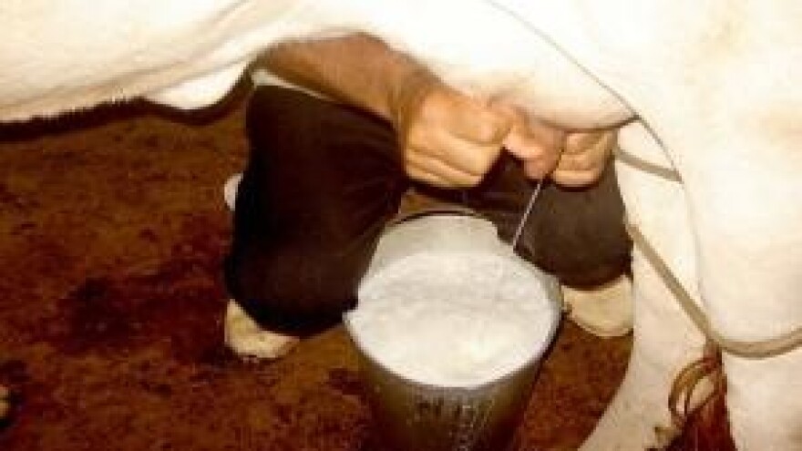 Mljekari spremaju jesenske prosvjede