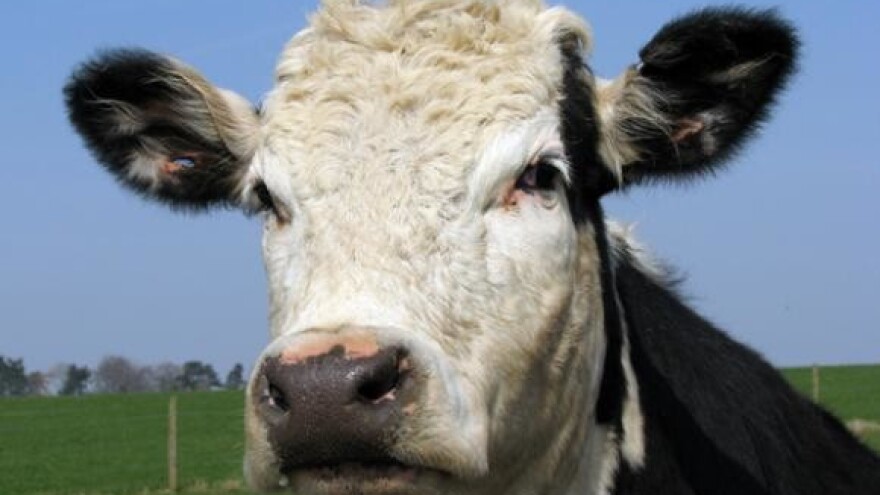 30 milijuna kuna u novu farmu