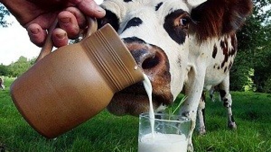 Umjesto krize, njima teče struja i mlijeko