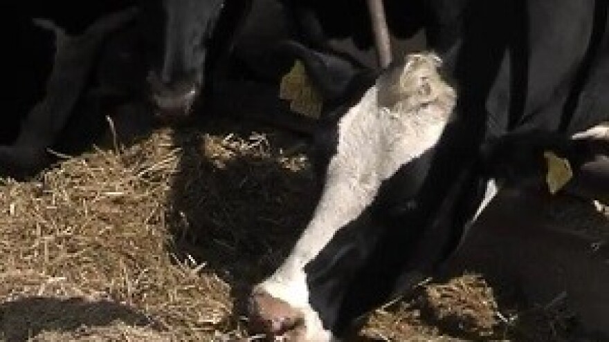 Za Hrvate otpad, a za strance proizvod