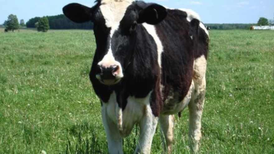 Zdenka deblokirana, novi uvjeti otkupa mlijeka