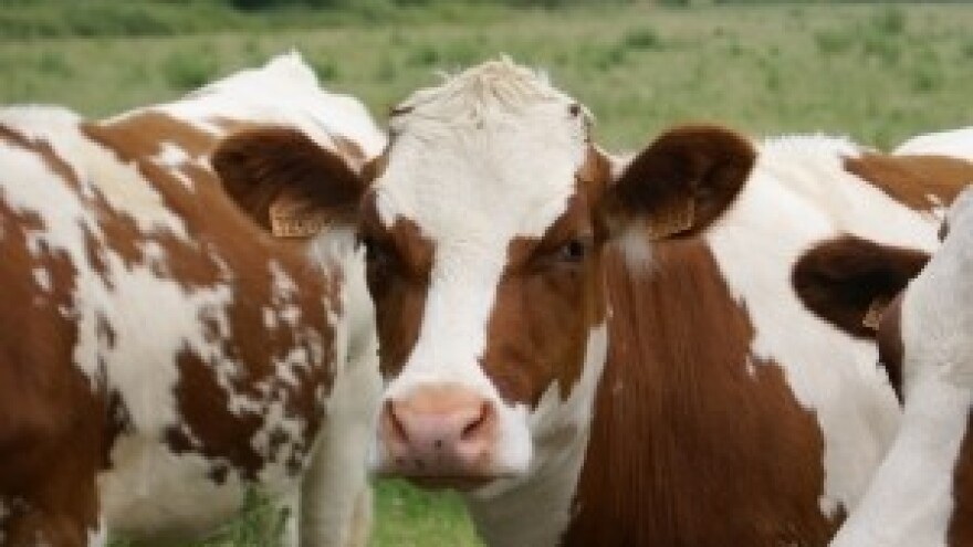 Upis u Registar otkupljivača mlijeka