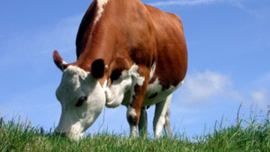 Država ih nagovorila na farme, i onda ostavila na cjedilu!