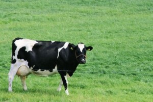 Do poticaja preko poreznog sustava