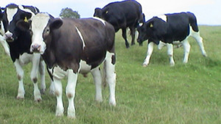 Grivičić: Vjerujem da će problemi biti riješeni