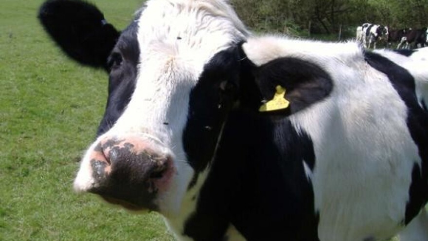 Kooperanti preuzimaju pogone mlijekare