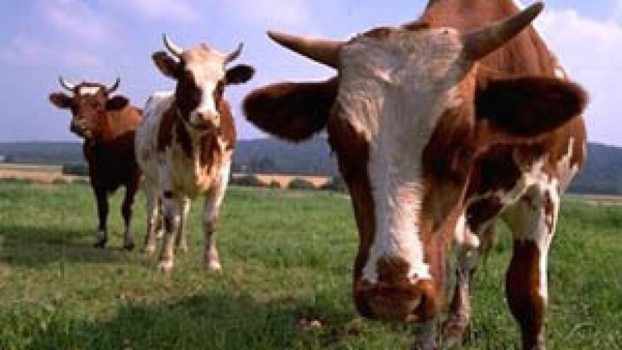 Kraj agonije najstarije mljekare u regiji?