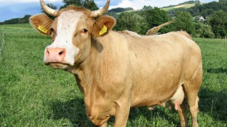 Natječaj za kreditiranje poljoprivrede i agroturizma