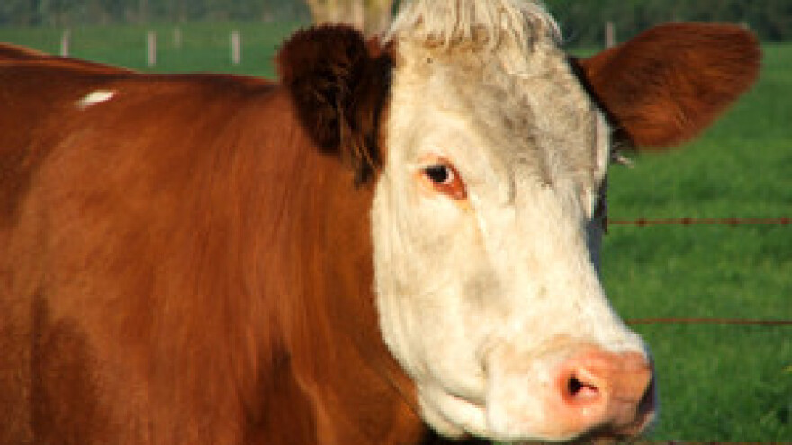 Uveli radno vrijeme za poljoprivrednike