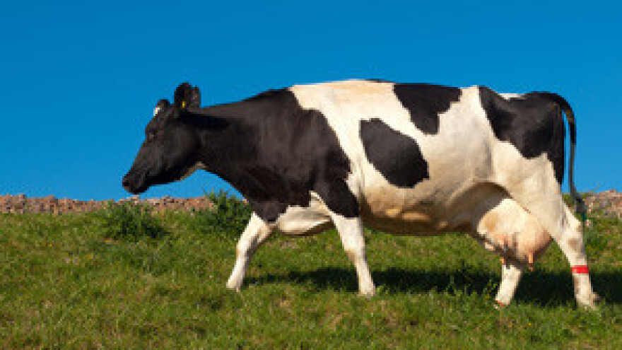 Upis u Registar otkupljivača mlijeka