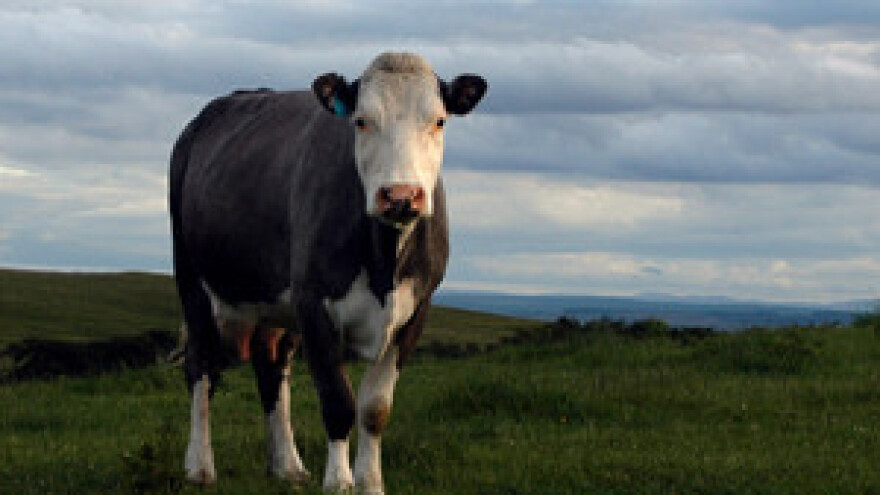 Treba uložiti milijune