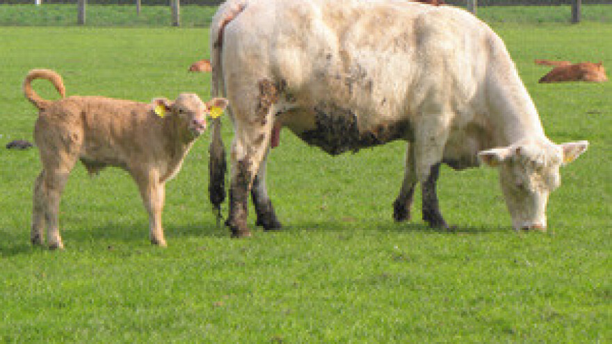 Hrvatskoj poljoprivredi na raspolaganju 745 milijuna eura