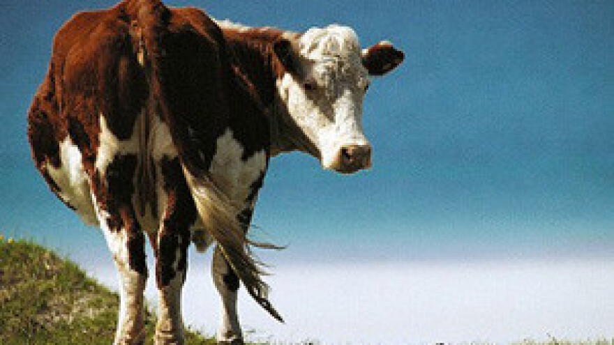 Sirela spremna za izvoz u EU