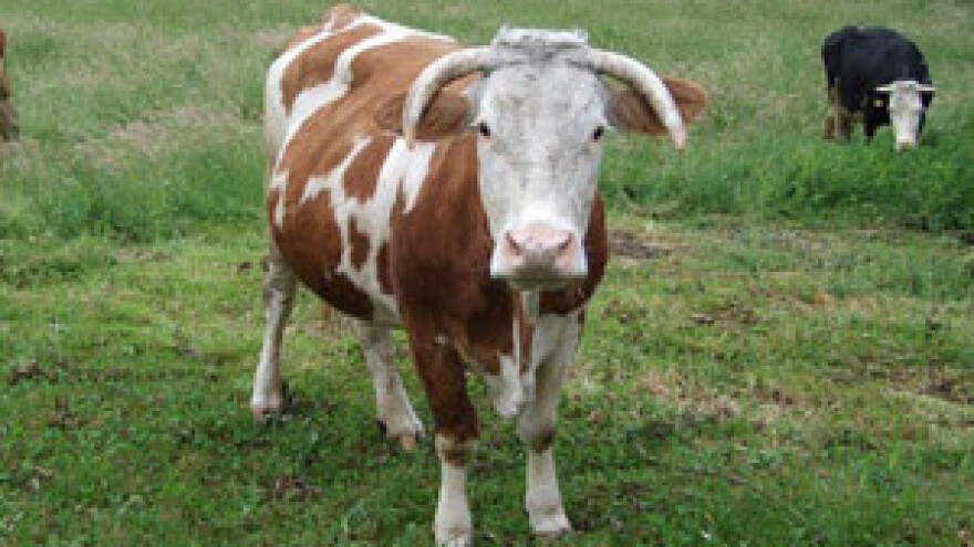 Isplaćena još 3,5 milijuna kuna za IPARD projekte