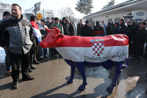 Proizvođači mlijeka traže otkupne cijene po uzoru na zemlje EU