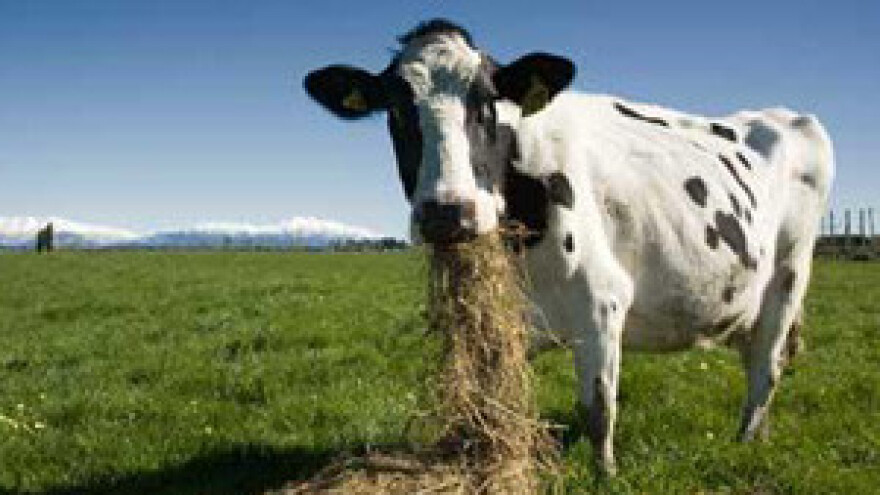 Mljekari učili kako će unaprijediti proizvodnju