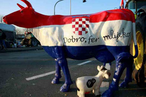 Visoka otkupna cijena mlijeka uništava hrvatski mljekarski sektor