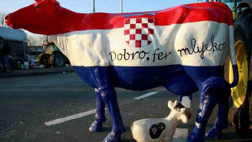 Visoka otkupna cijena mlijeka uništava hrvatski mljekarski sektor