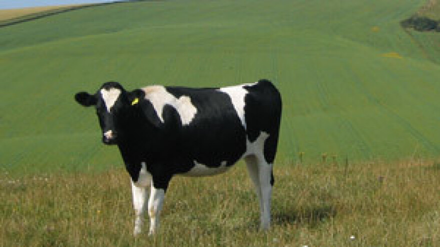 Vijeće EU unapređuje funkcioniranje tržišta mlijeka