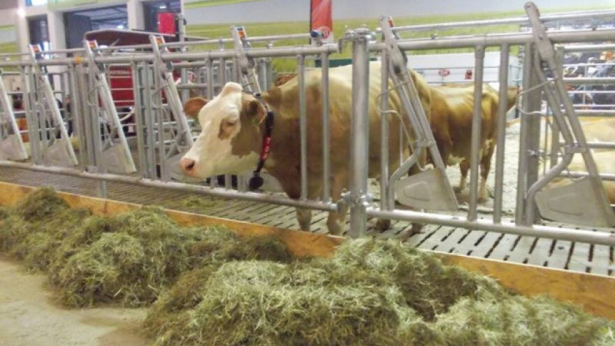 Zadrugari i proizvođači moraju postati vlasnici!