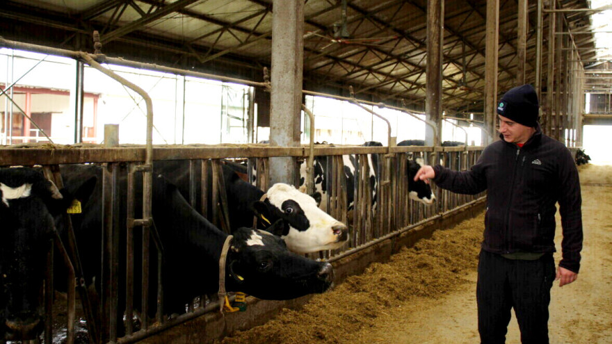 Smanjili pojavnost upale vimena i poboljšali kvalitetu te prinos mlijeka