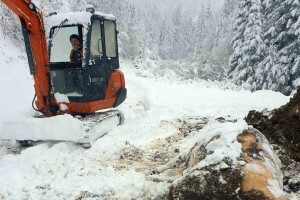 U pola sata izgubio tri krave: Teška nesreća zadesila porodicu iz Vukotića