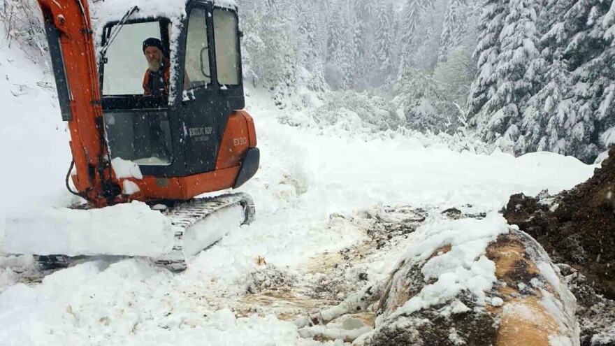 U pola sata izgubio tri krave: Teška nesreća zadesila porodicu iz Vukotića