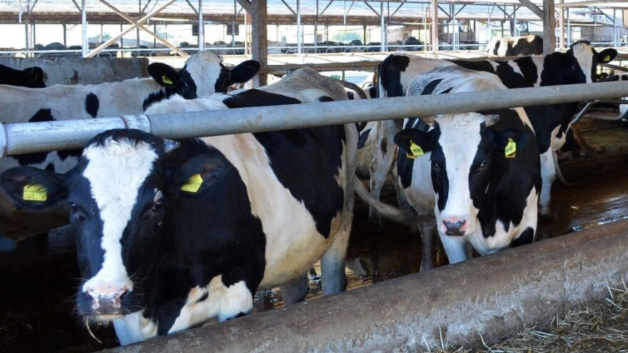 Stočarskim uzgojnim udruženjima dodijeljeno 1,9 milijuna kuna