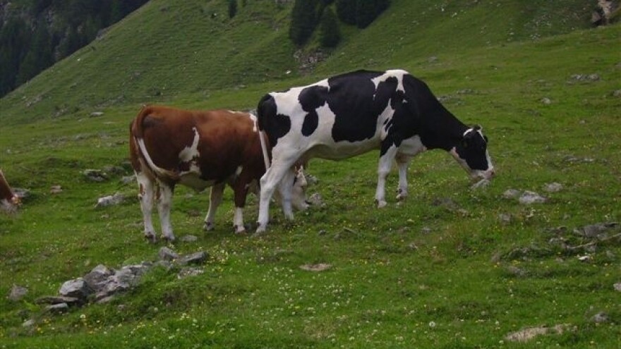 50. hrvatski i 10. međunarodni simpozij agronoma u Opatiji