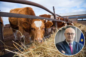 Phil Hogan: U slučaju Brexita "bez sporazuma", EU će zaštiti irske farmere