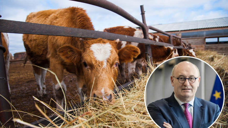Fil Hogan: U slučaju Bregzita "bez sporazuma", EU će zaštiti irske poljoprivrednike
