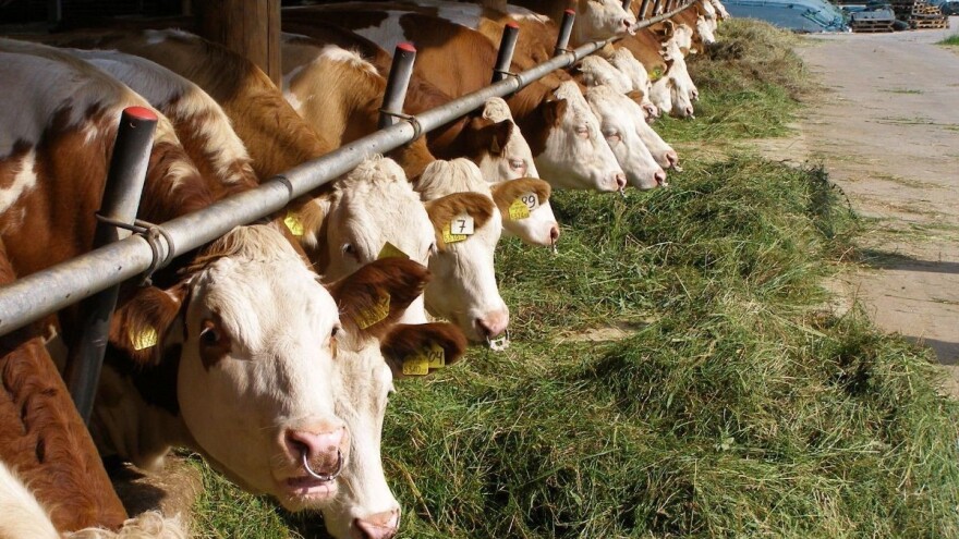 Vlada poslala u Sabor pet zakona i donijela tri odluke iz resora poljoprivrede