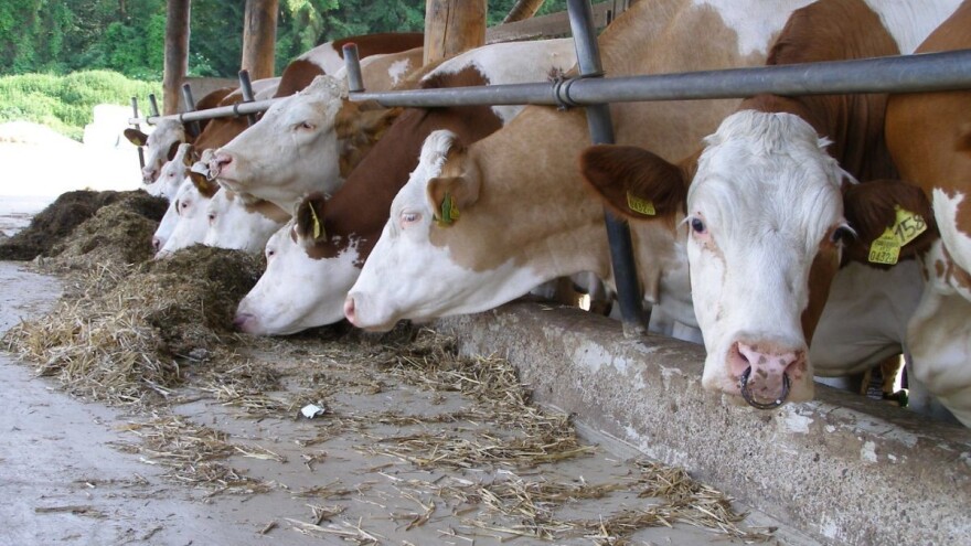 Kroz mjeru 5 pomoći će se poljoprivrednim gospodarstvima stradalim u potresu