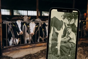 Zašto farme moraju imati VKB broj?