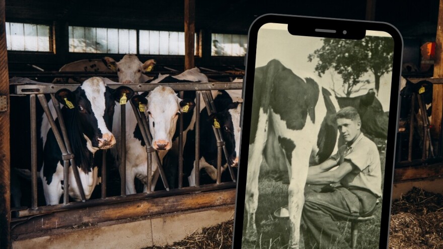 Zašto farme moraju imati VKB broj?