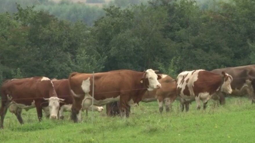 Bihać - grad mlijeka