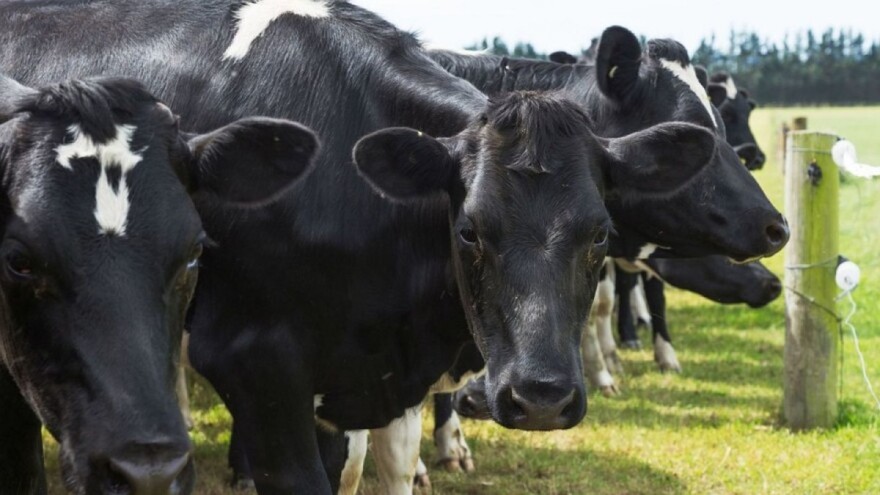 Francuska bilježi pad vrijednosti poljoprivredne proizvodnje i smanjenje subvencija