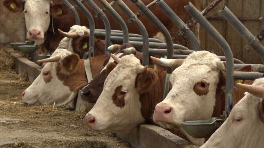 Isplaćeno preko 4 miliona KM za podsticaje