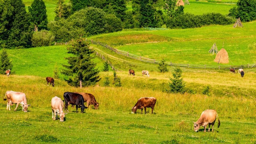 Predstavljena strategija privrednog oporavka EU: 15 milijardi eura za poljoprivredu