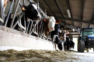 Poticaji: Rebalansom budžeta povećani na 3,5 miliona KM u ZDK