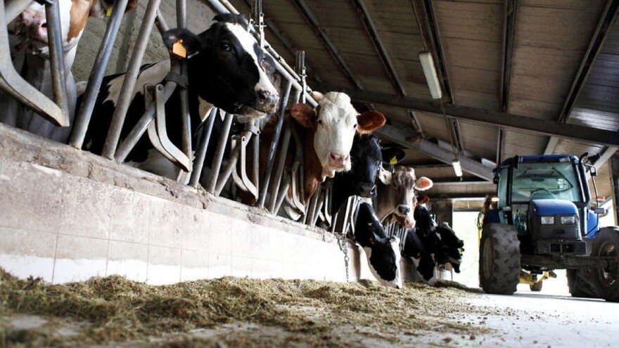 Poticaji: Rebalansom budžeta povećani na 3,5 miliona KM u ZDK